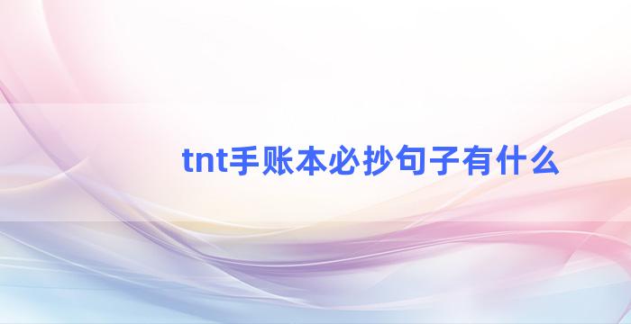 tnt手账本必抄句子有什么