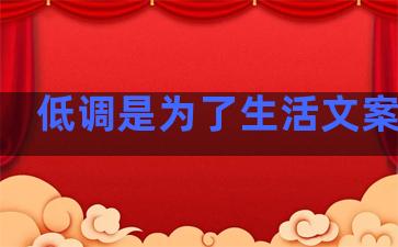 低调是为了生活文案句子