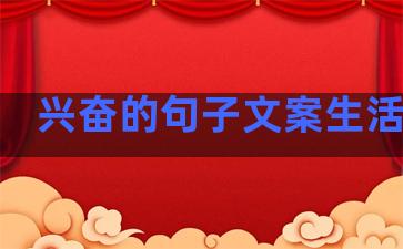 兴奋的句子文案生活感悟