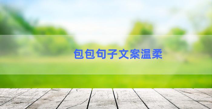 包包句子文案温柔