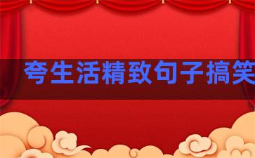 夸生活精致句子搞笑简短