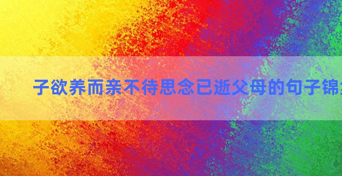 子欲养而亲不待思念已逝父母的句子锦集六十句