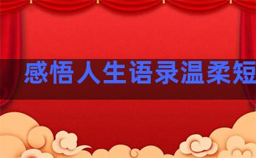 感悟人生语录温柔短句子
