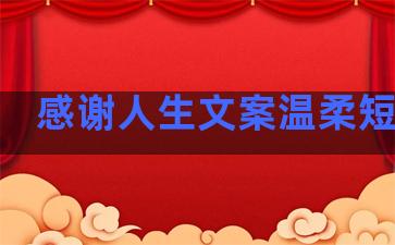 感谢人生文案温柔短句子