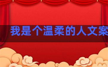 我是个温柔的人文案句子