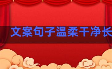 文案句子温柔干净长句子