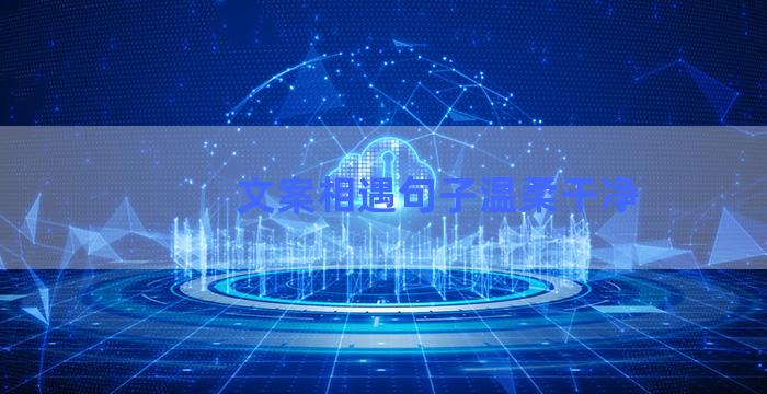 文案相遇句子温柔干净