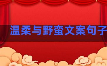 温柔与野蛮文案句子简短