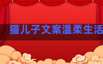 猫儿子文案温柔生活句子
